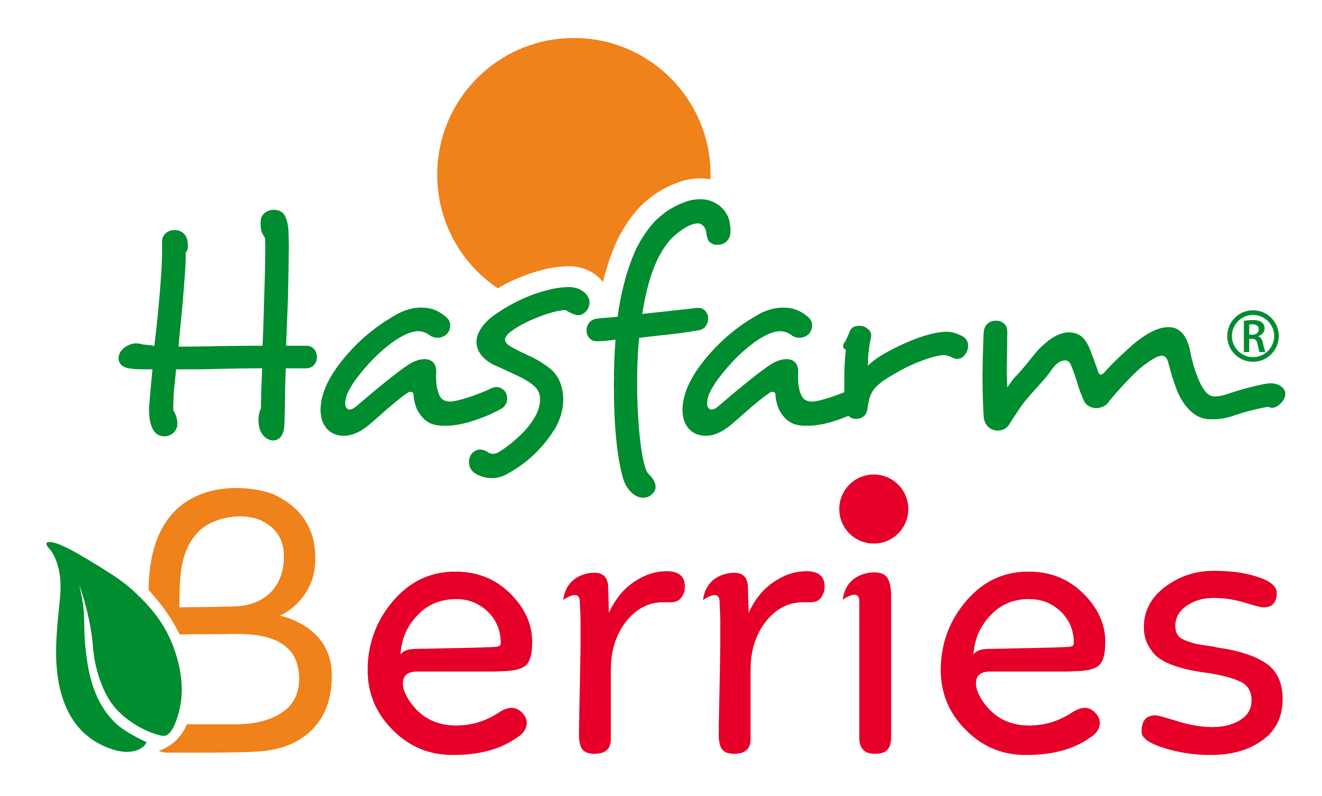 Hasfarm Berries
